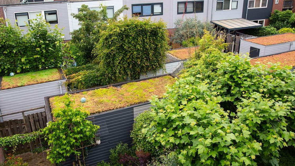 Onderzoek Neerbosch groener: doe mee!