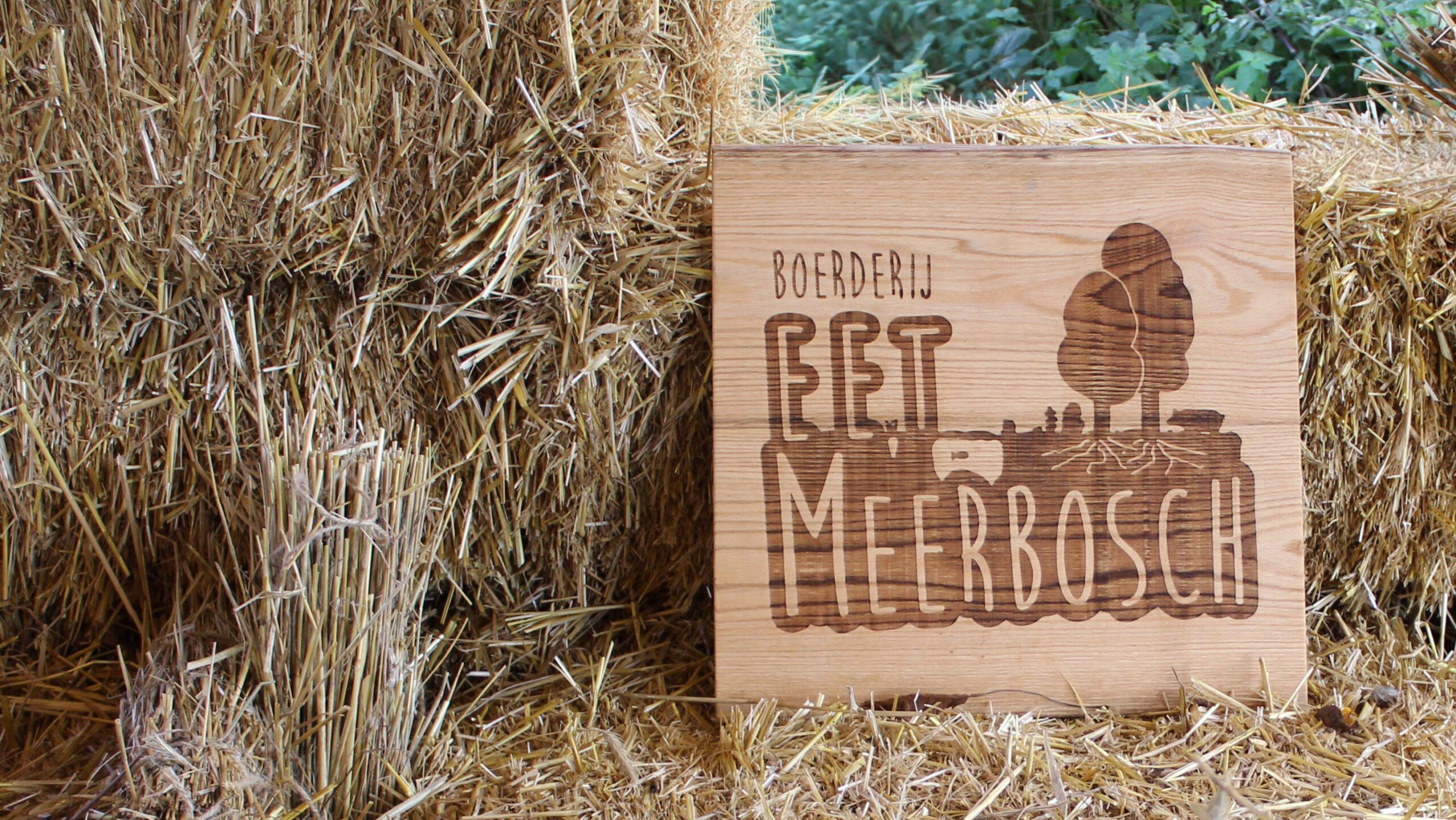 Paradijsje, op een steenworp afstand